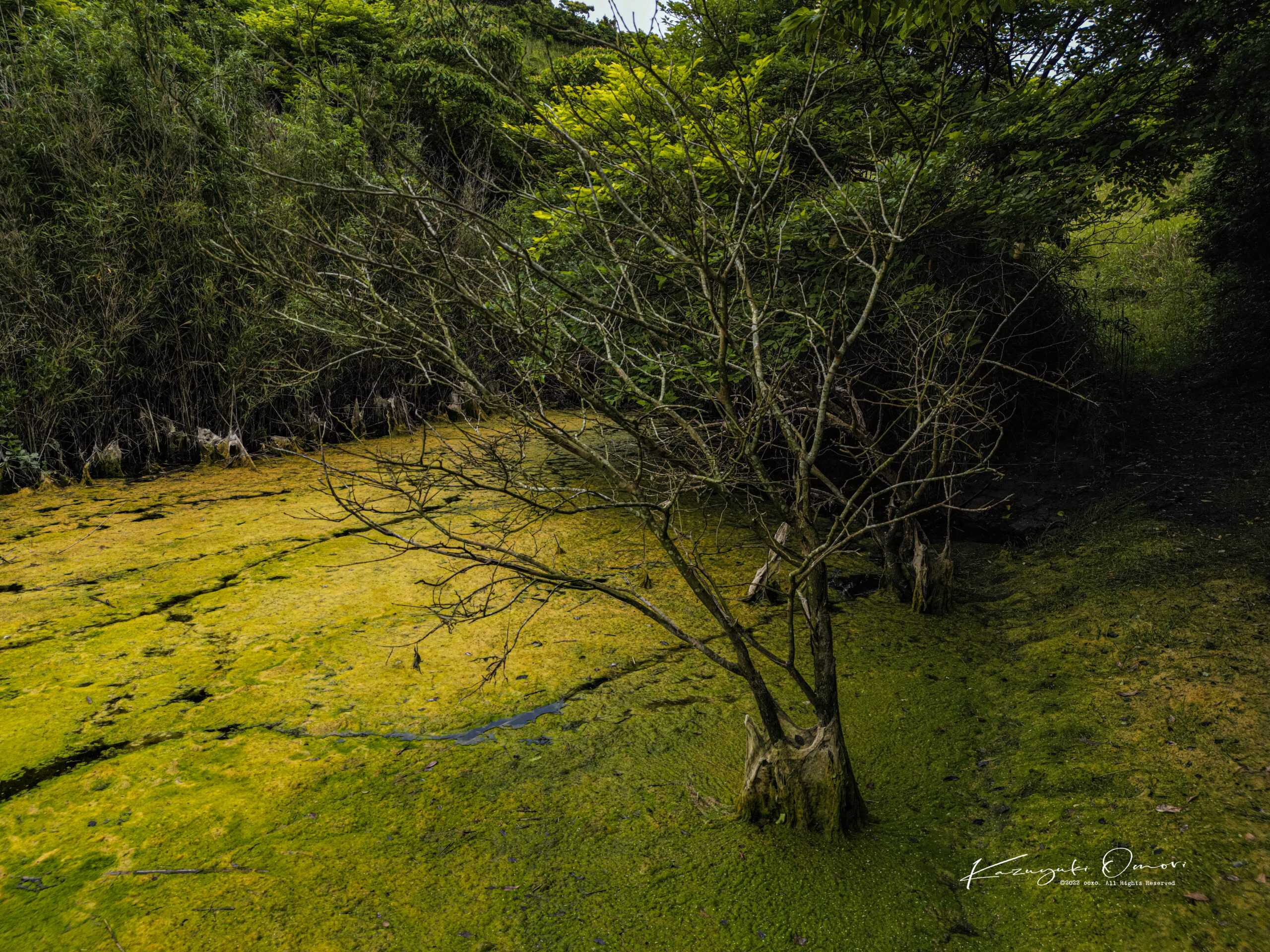 DRONE Snap