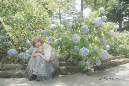 紫陽花の散る頃に