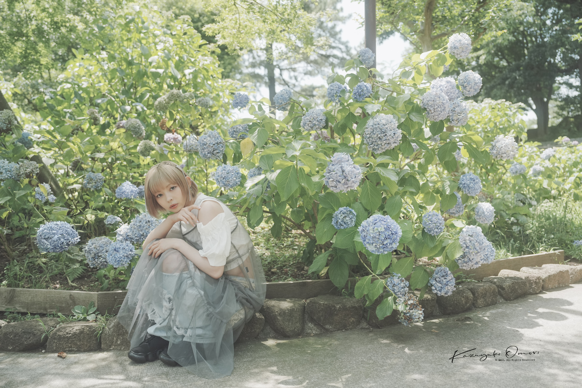 紫陽花の散る頃に