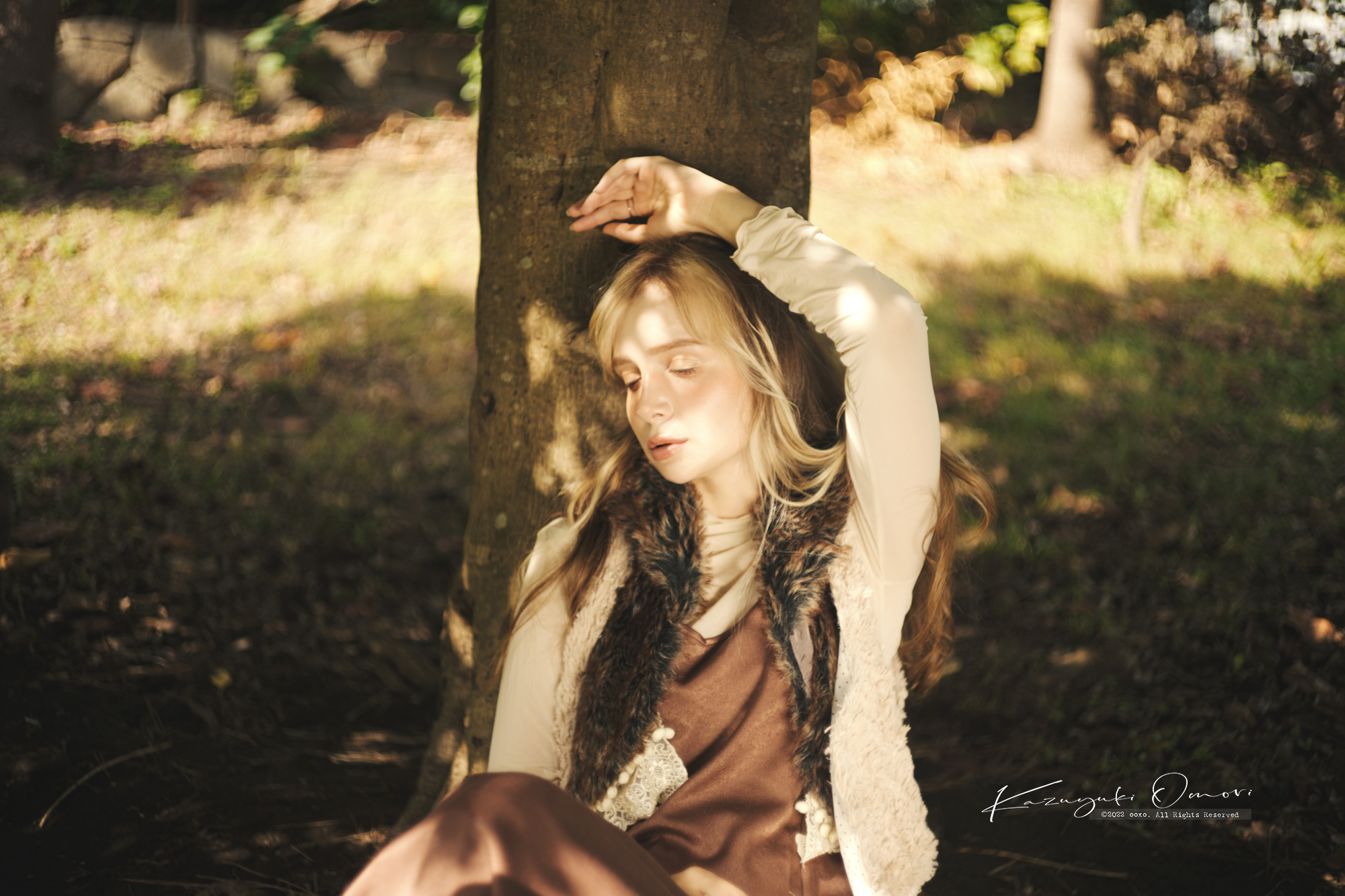 木漏れ日と時流